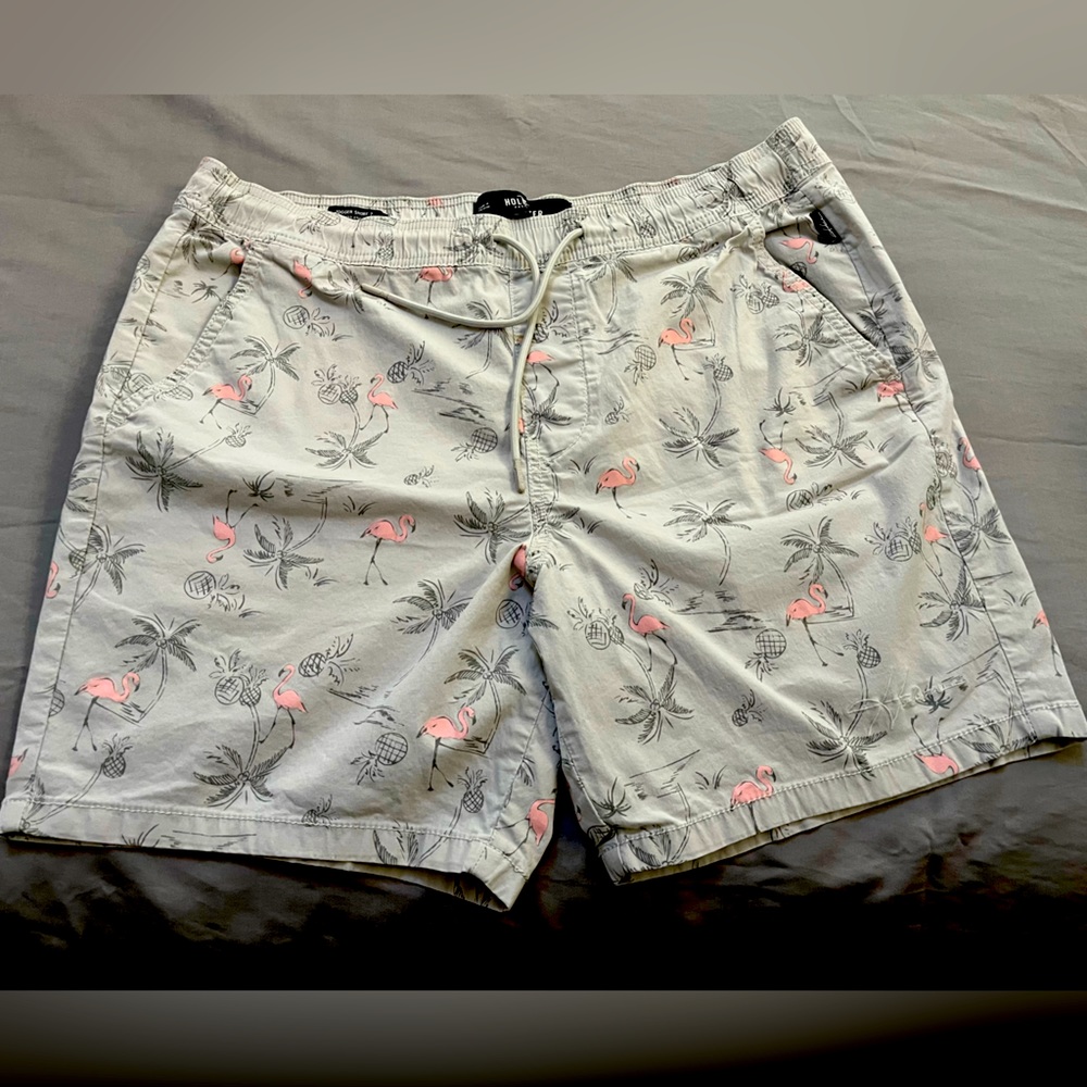 Hollister Large 7” Shorts Light Gray with Flamingo’s